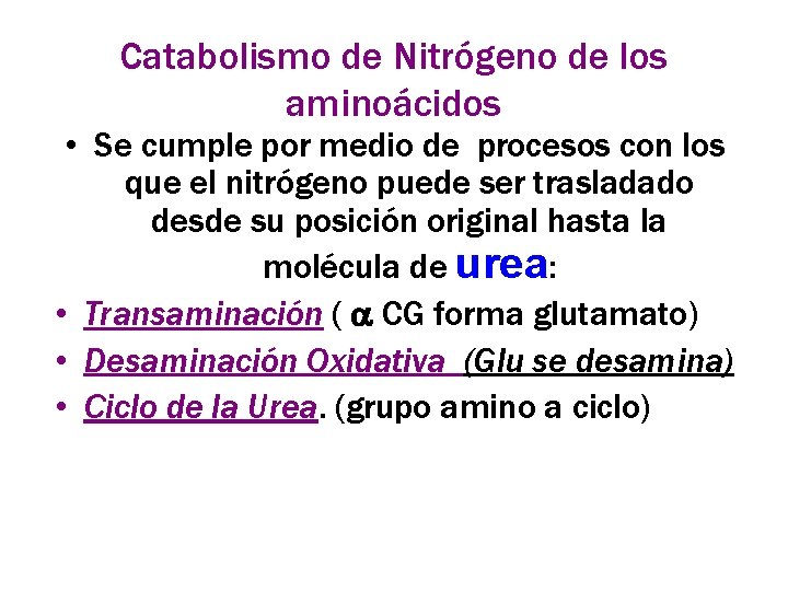 Catabolismo de Nitrógeno de los aminoácidos • Se cumple por medio de procesos con
