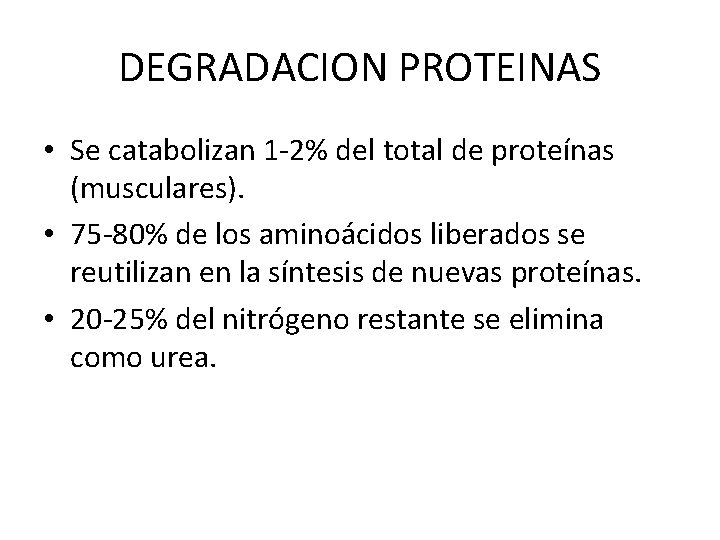 DEGRADACION PROTEINAS • Se catabolizan 1 -2% del total de proteínas (musculares). • 75