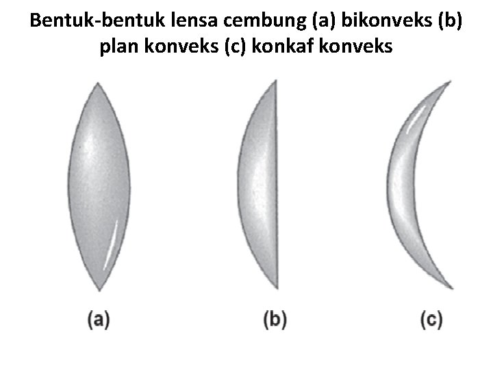 Bentuk-bentuk lensa cembung (a) bikonveks (b) plan konveks (c) konkaf konveks 