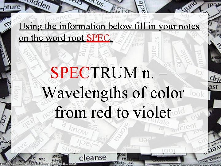 Using the information below fill in your notes on the word root SPECTRUM n.