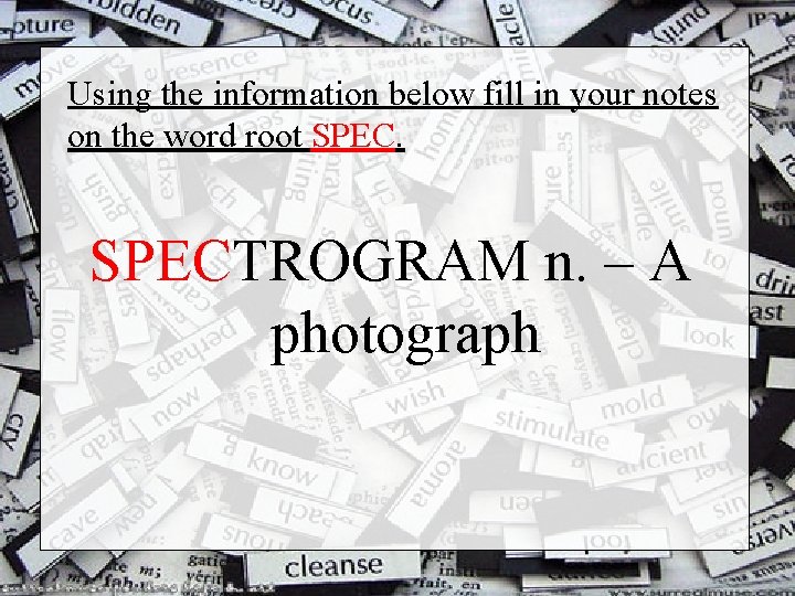 Using the information below fill in your notes on the word root SPECTROGRAM n.