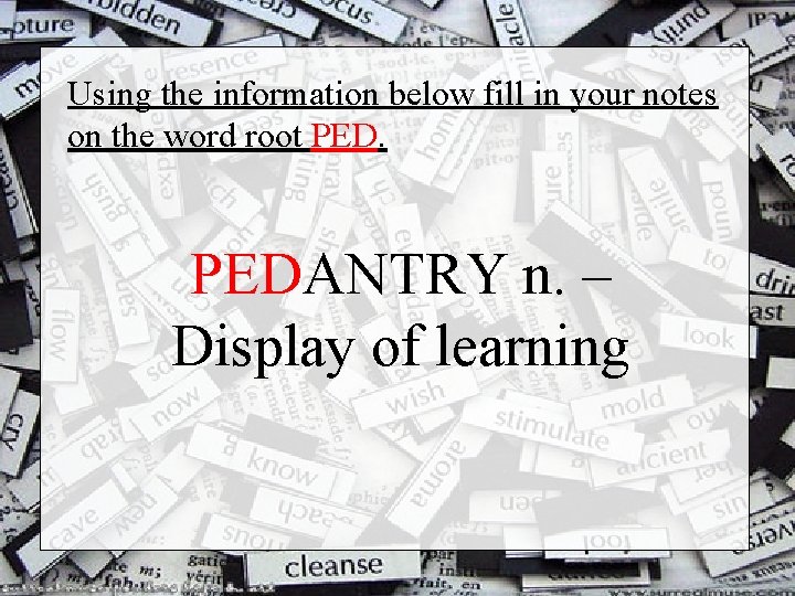 Using the information below fill in your notes on the word root PEDANTRY n.