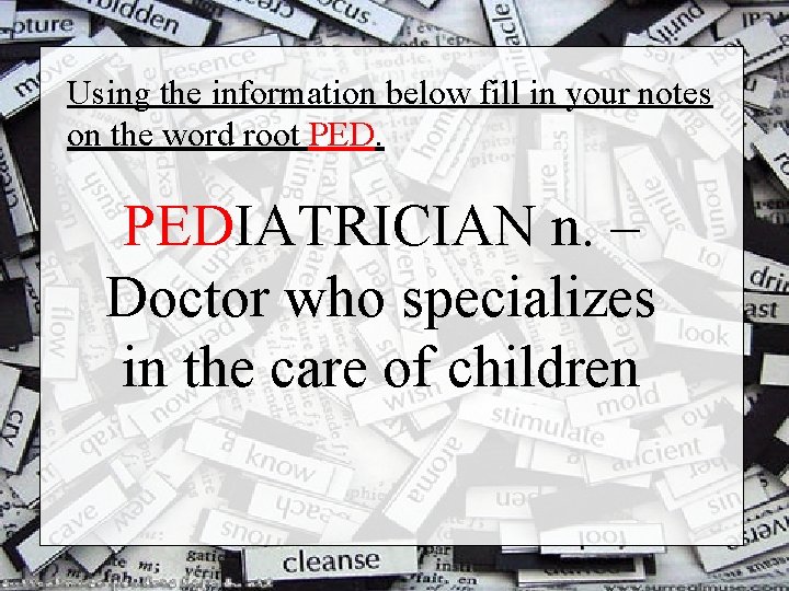 Using the information below fill in your notes on the word root PEDIATRICIAN n.