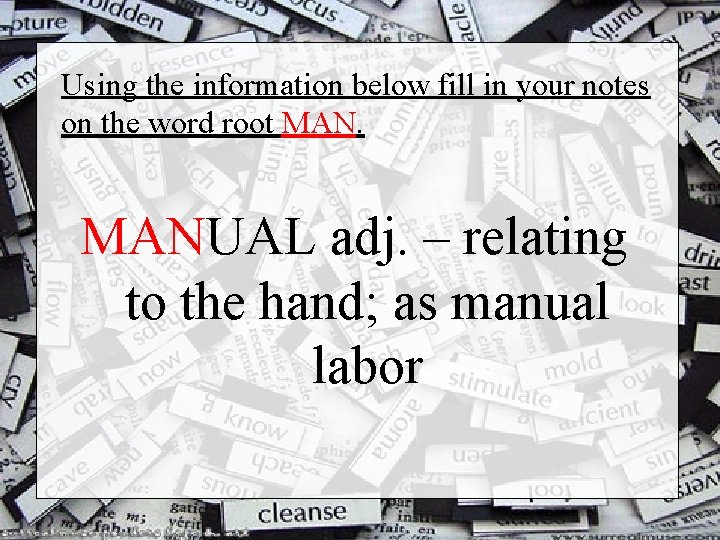 Using the information below fill in your notes on the word root MANUAL adj.