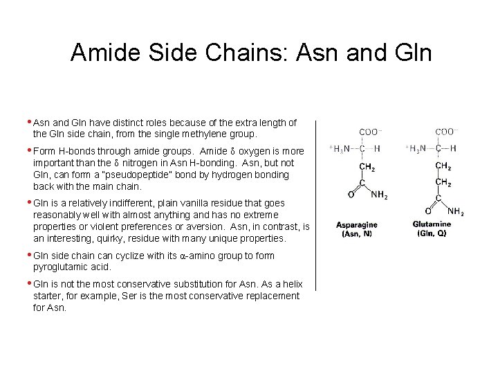 Amide Side Chains: Asn and Gln • Asn and Gln have distinct roles because