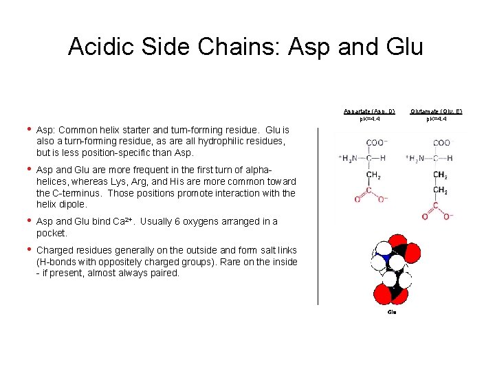 Acidic Side Chains: Asp and Glu Aspartate (Asp, D) p. K=4. 4 • Asp: