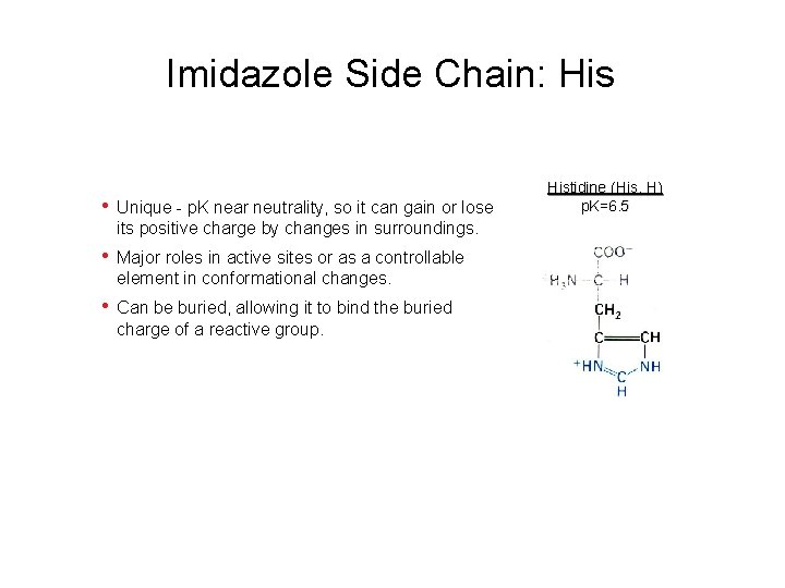 Imidazole Side Chain: His • Unique - p. K near neutrality, so it can