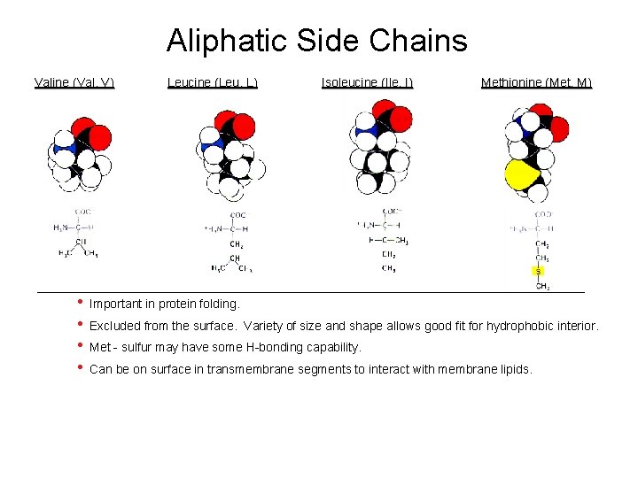 Aliphatic Side Chains Valine (Val, V) • • Leucine (Leu, L) Isoleucine (Ile, I)