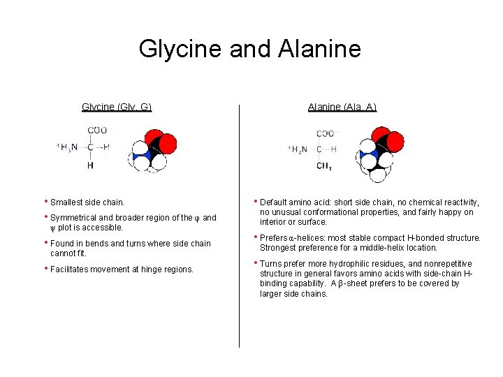 Glycine and Alanine Glycine (Gly, G) • Smallest side chain. • Symmetrical and broader