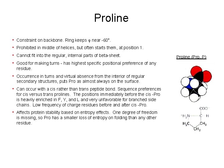 Proline • • Constraint on backbone. Ring keeps φ near -60˚. • Occurrence in