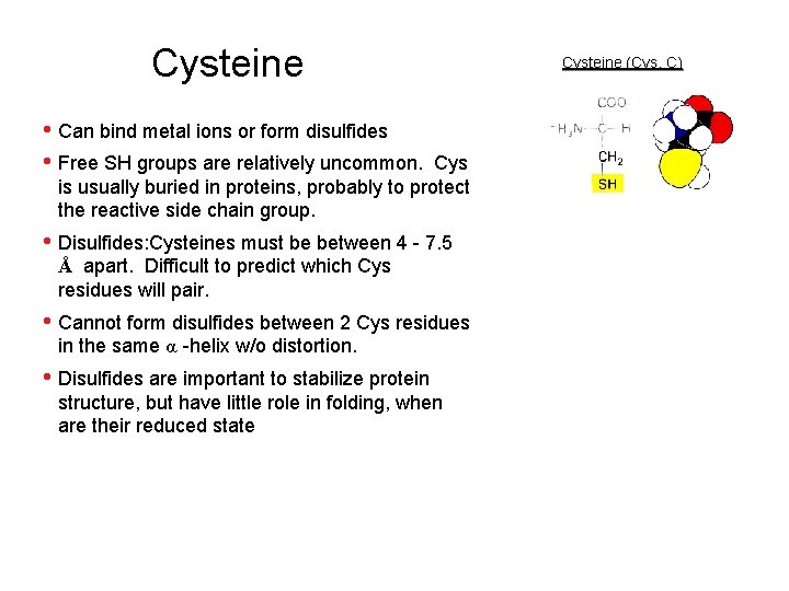 Cysteine • Can bind metal ions or form disulfides • Free SH groups are
