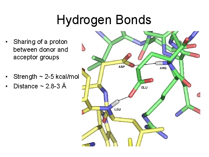 Hydrogen Bonds • Sharing of a proton between donor and acceptor groups • Strength