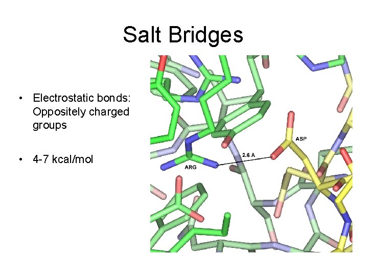 Salt Bridges • Electrostatic bonds: Oppositely charged groups • 4 -7 kcal/mol 