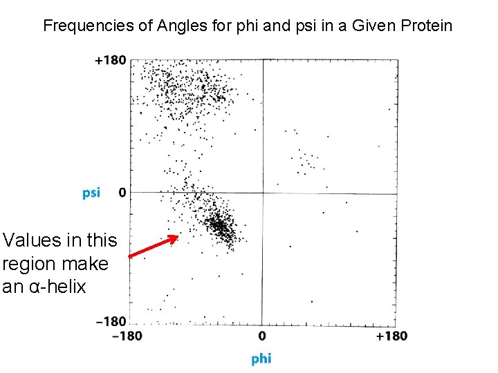 Frequencies of Angles for phi and psi in a Given Protein Values in this