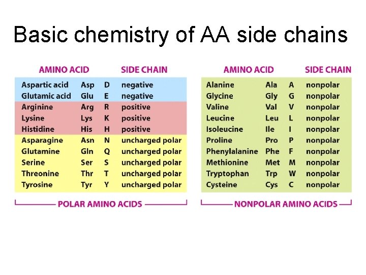 Basic chemistry of AA side chains 