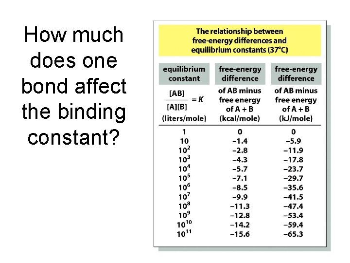 How much does one bond affect the binding constant? 