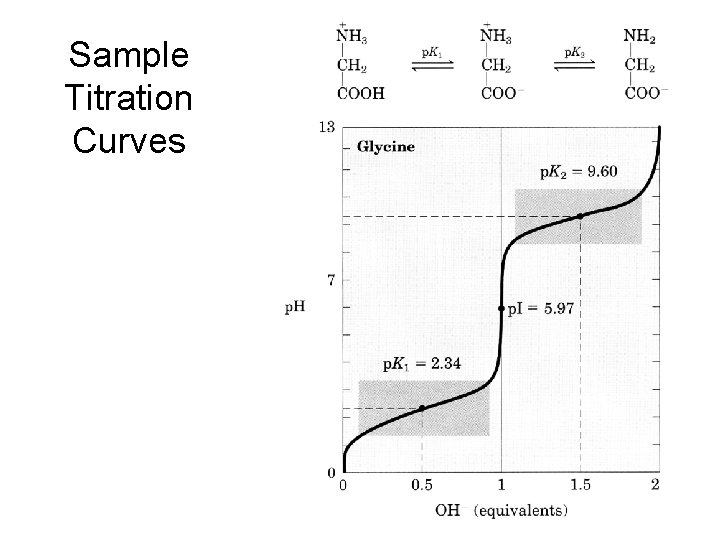 Sample Titration Curves 