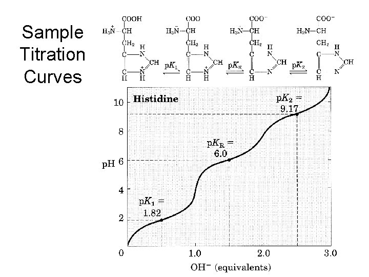 Sample Titration Curves 