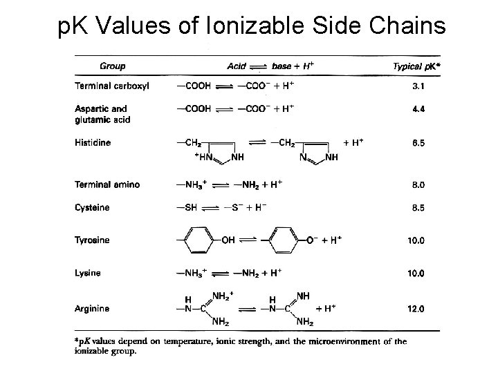 p. K Values of Ionizable Side Chains 