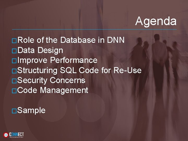 Agenda �Role of the Database in DNN �Data Design �Improve Performance �Structuring SQL Code Agenda �Role of the Database in DNN �Data Design �Improve Performance �Structuring SQL Code