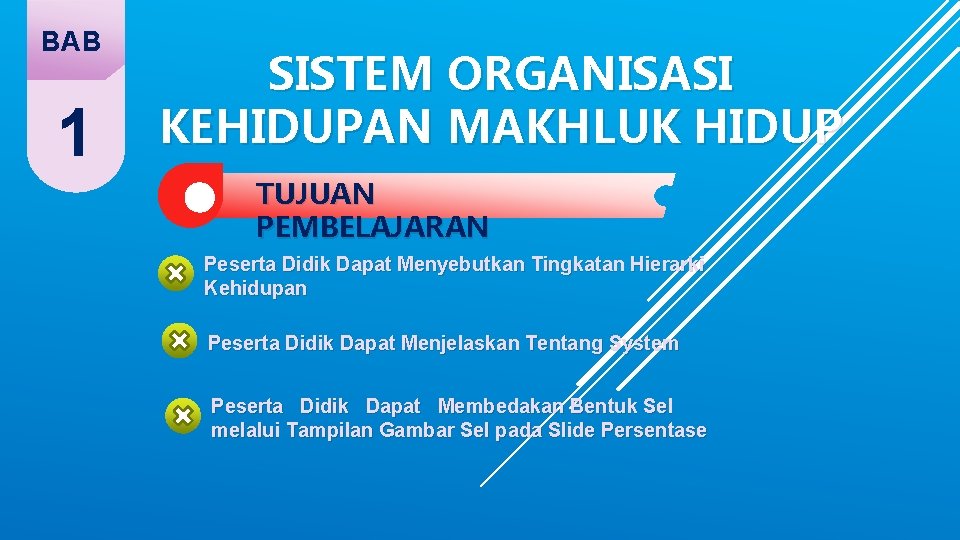 BAB 1 SISTEM ORGANISASI KEHIDUPAN MAKHLUK HIDUP TUJUAN PEMBELAJARAN Peserta Didik Dapat Menyebutkan Tingkatan