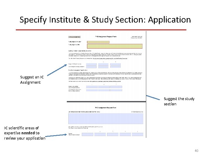 Specify Institute & Study Section: Application Suggest an IC Assignment Suggest the study section