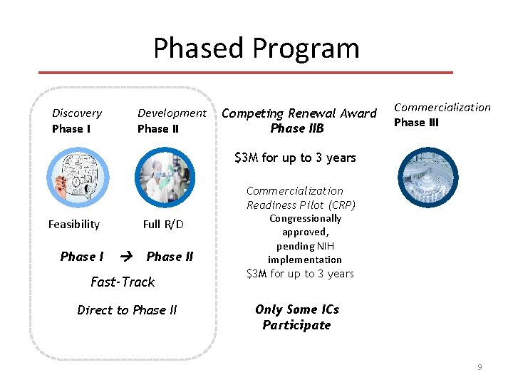 Phased Program Discovery Phase I Development Phase II Competing Renewal Award Phase IIB Commercialization