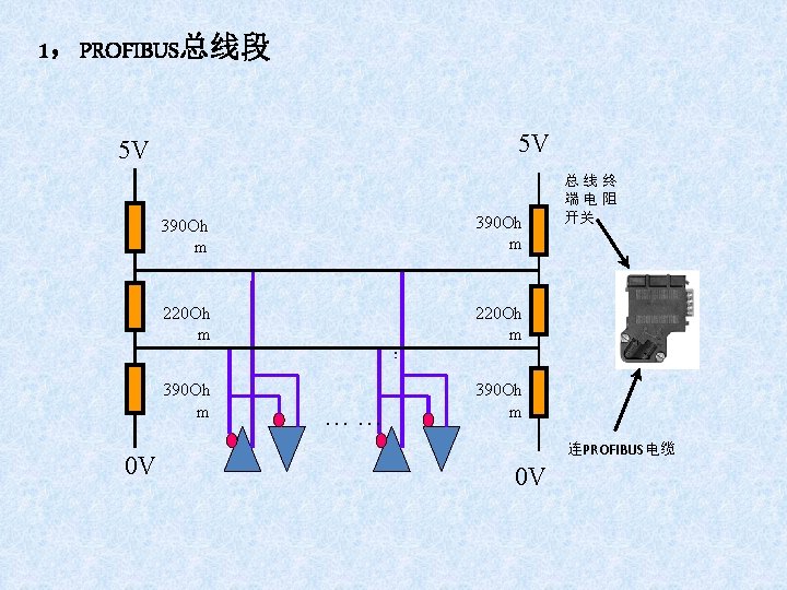 1，PROFIBUS总线段 5 V 5 V 0 V 390 Oh m 220 Oh m 390