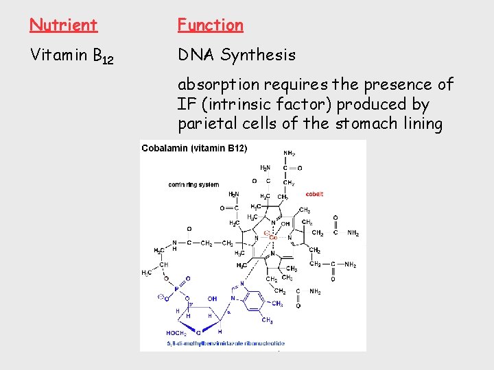 Nutrient Function Vitamin B 12 DNA Synthesis absorption requires the presence of IF (intrinsic