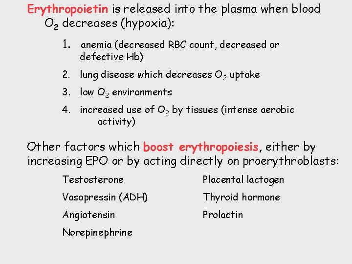 Erythropoietin is released into the plasma when blood O 2 decreases (hypoxia): 1. anemia