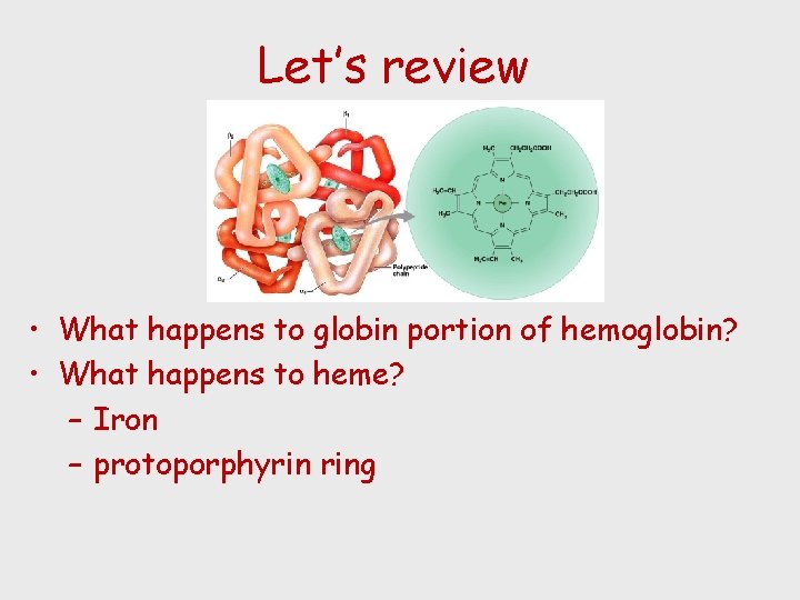Let’s review • What happens to globin portion of hemoglobin? • What happens to