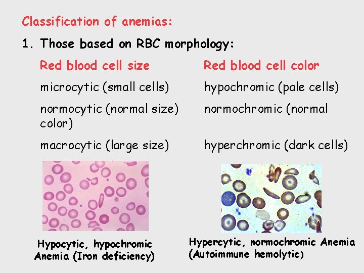 Classification of anemias: 1. Those based on RBC morphology: Red blood cell size Red