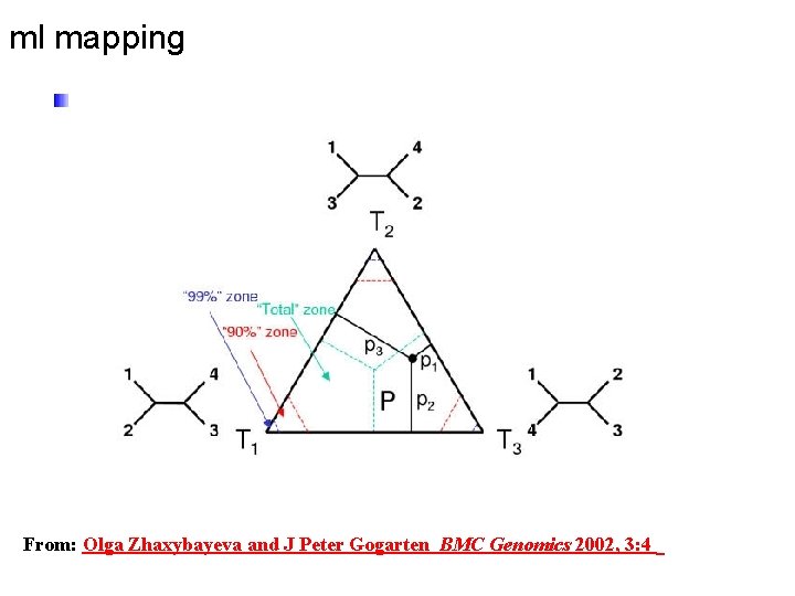 ml mapping From: Olga Zhaxybayeva and J Peter Gogarten BMC Genomics 2002, 3: 4