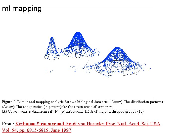 ml mapping Figure 5. Likelihood-mapping analysis for two biological data sets. (Upper) The distribution