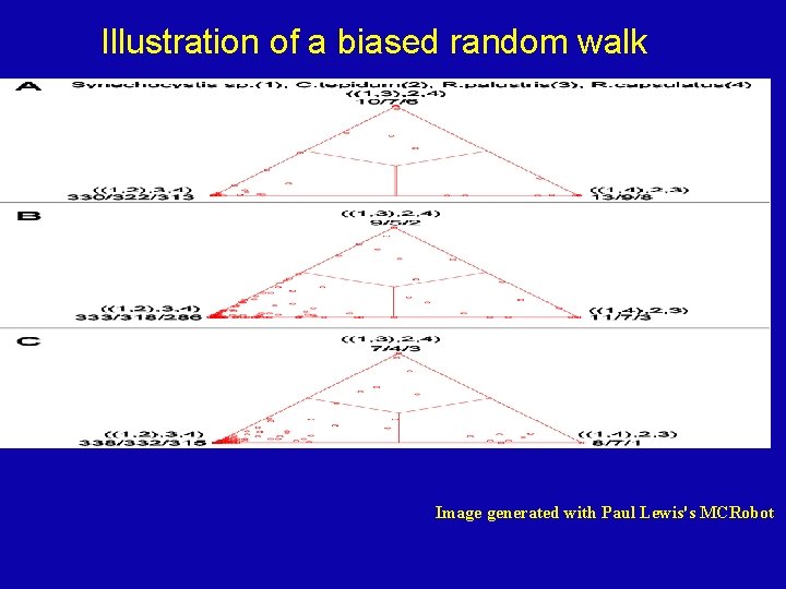 Illustration of a biased random walk Image generated with Paul Lewis's MCRobot 