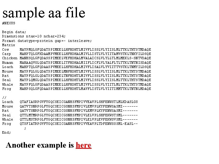 sample aa file #NEXUS Begin data; Dimensions ntax=10 nchar=234; Format datatype=protein gap=- interleave; Matrix