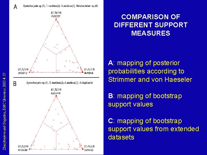 Zhaxybayeva and Gogarten, BMC Genomics 2003 4: 37 COMPARISON OF DIFFERENT SUPPORT MEASURES A: