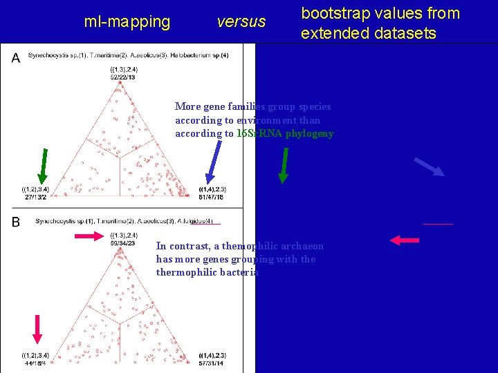 ml-mapping versus bootstrap values from extended datasets More gene families group species according to