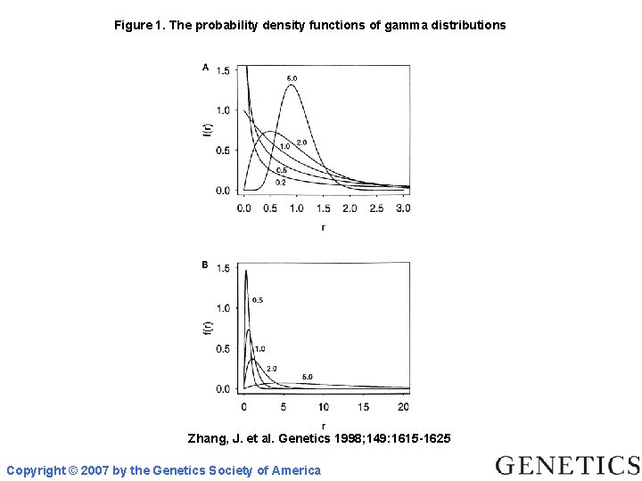 Figure 1. The probability density functions of gamma distributions Zhang, J. et al. Genetics