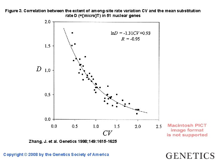 Figure 3. Correlation between the extent of among-site rate variation CV and the mean