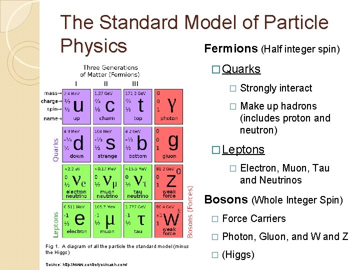 The Standard Model of Particle Physics Fermions (Half integer spin) � Quarks � Strongly