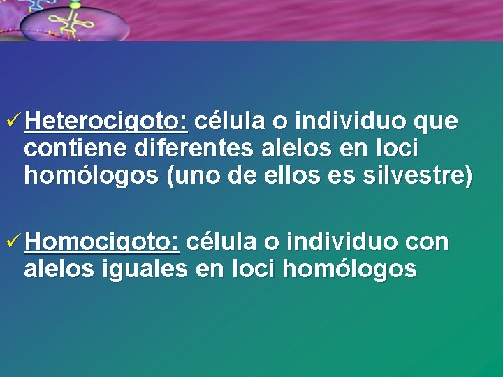 ü Heterocigoto: célula o individuo que contiene diferentes alelos en loci homólogos (uno de