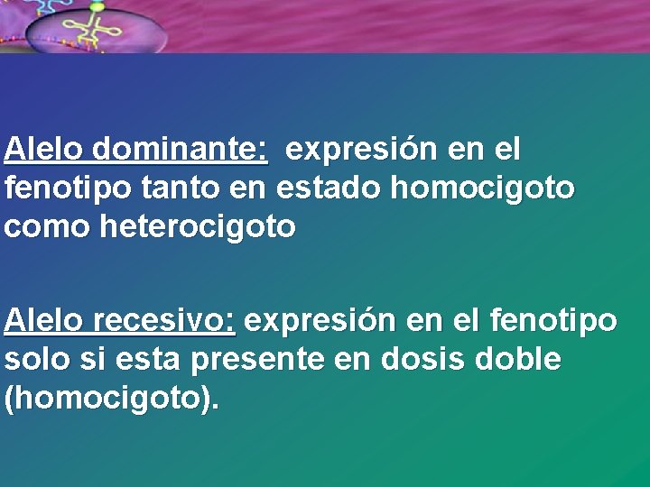 ü Alelo dominante: expresión en el fenotipo tanto en estado homocigoto como heterocigoto ü