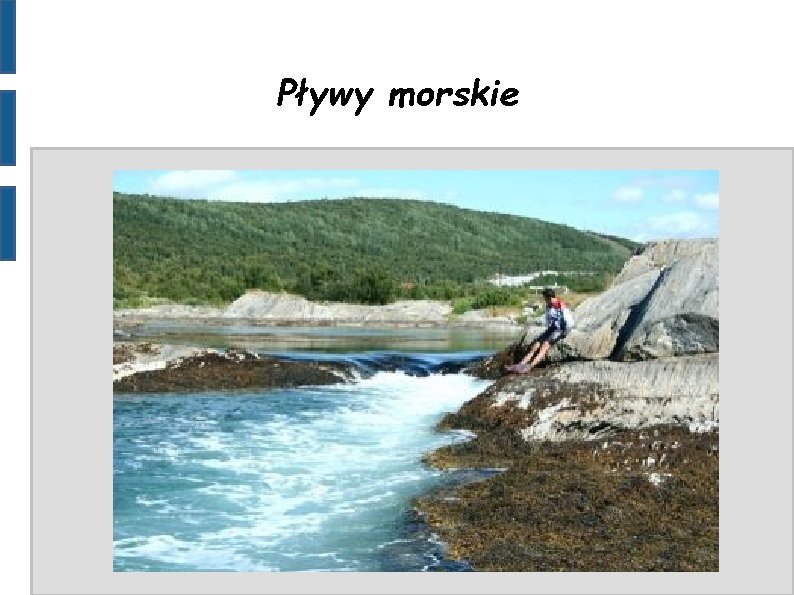Pływy morskie 
