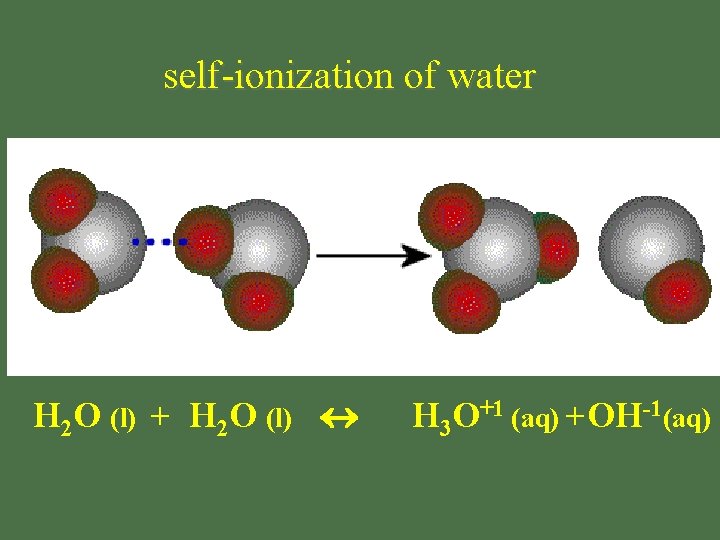 self-ionization of water H 2 O (l) + H 2 O (l) H 3