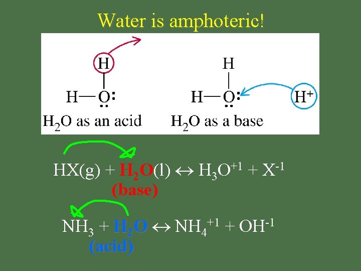 Water is amphoteric! HX(g) + H 2 O(l) H 3 O+1 + X-1 (base)