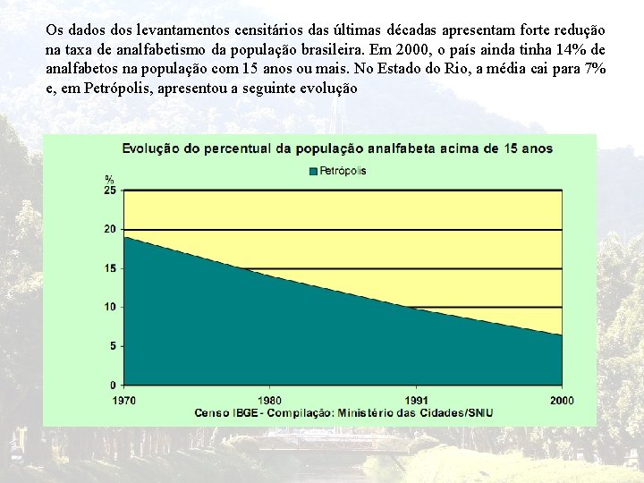 Os dados levantamentos censitários das últimas décadas apresentam forte redução na taxa de analfabetismo