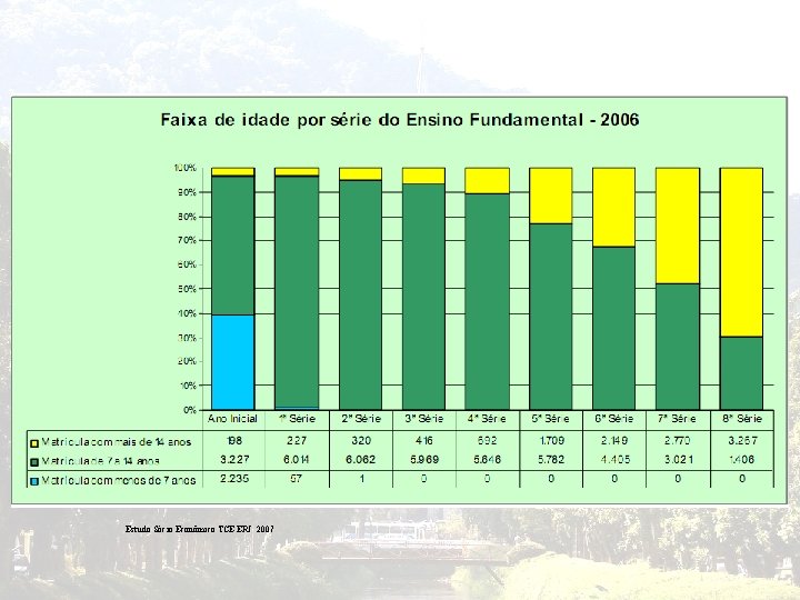 Estudo Sócio Econômico TCE ERJ 2007 