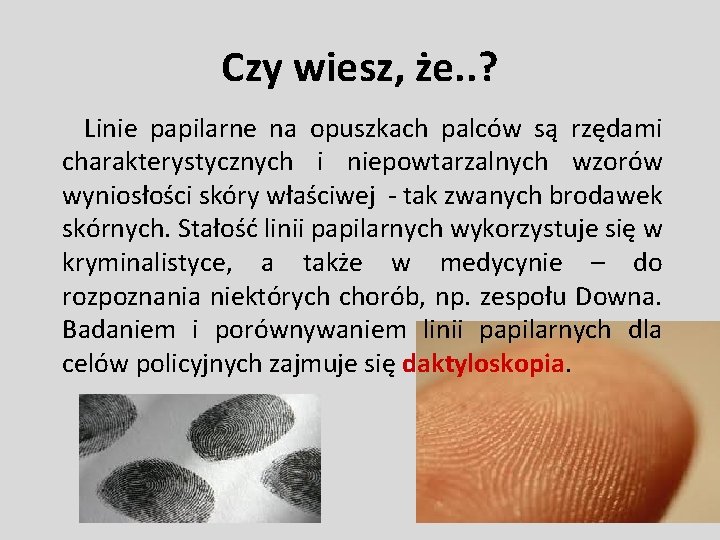 Czy wiesz, że. . ? Linie papilarne na opuszkach palców są rzędami charakterystycznych i