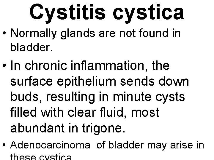 Cystitis cystica • Normally glands are not found in bladder. • In chronic inflammation,